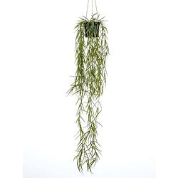 Foto van Emerald kunstplant hangend in pot wasbloem 80 cm