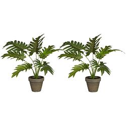 Foto van Mica decoration kunstplant philodendron - 2x - groen - h30 en d27 cm - kamerplant - kunstplanten