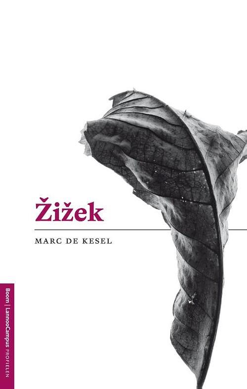 Foto van Zizek - marc de kesel - ebook (9789461274243)