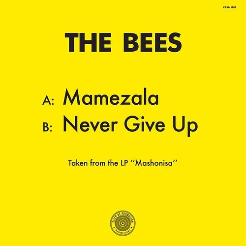 Foto van Mamezela/never give up - 12 inch vinyl;12 inch vinyl (2090405420778)