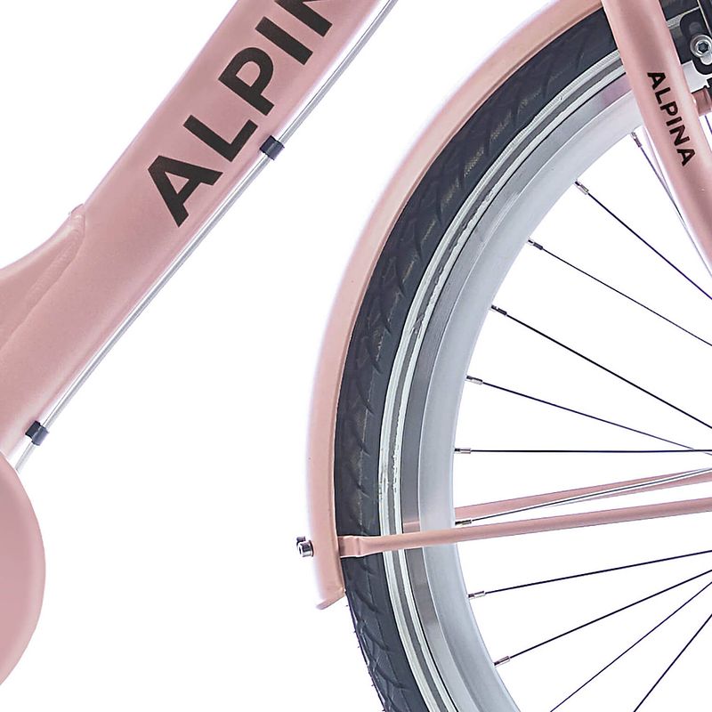 Foto van Alpina spatbord set 26 clubb desert pink matt