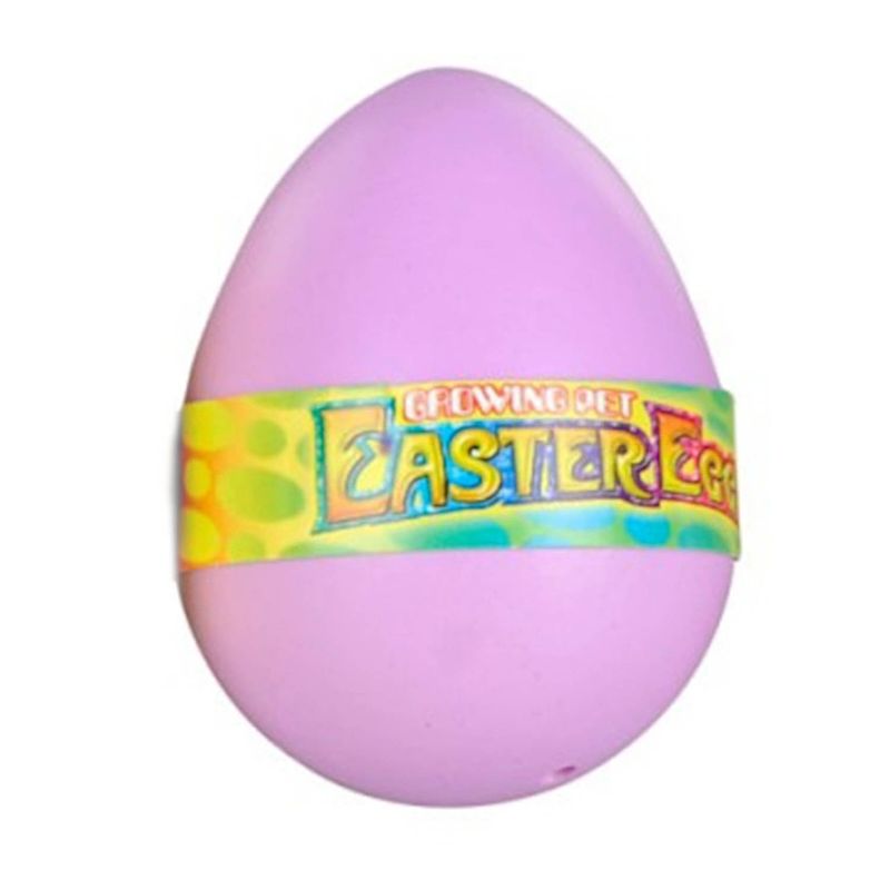 Foto van Toys amsterdam magisch ei hatching egg junior 6 cm paars