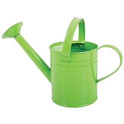 Foto van Bigjigs green watering can