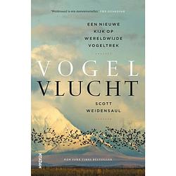 Foto van Vogelvlucht