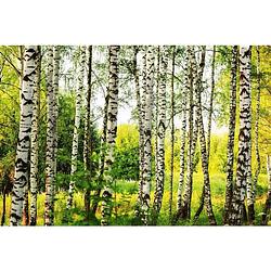 Foto van Dimex birch forest vlies fotobehang 375x250cm 5-banen