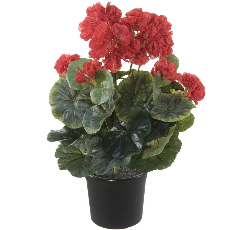 Foto van Rode geranium pelargonium graveolens kunstplant in zwarte kunststof pot 35 cm - kunstplanten