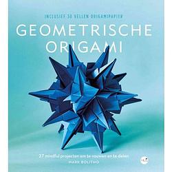 Foto van De kunst van geometrische origami