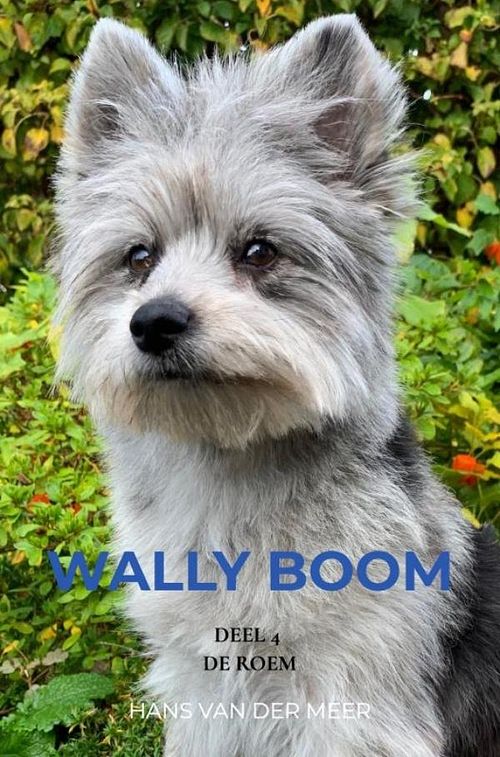 Foto van Wally boom - hans van der meer - ebook