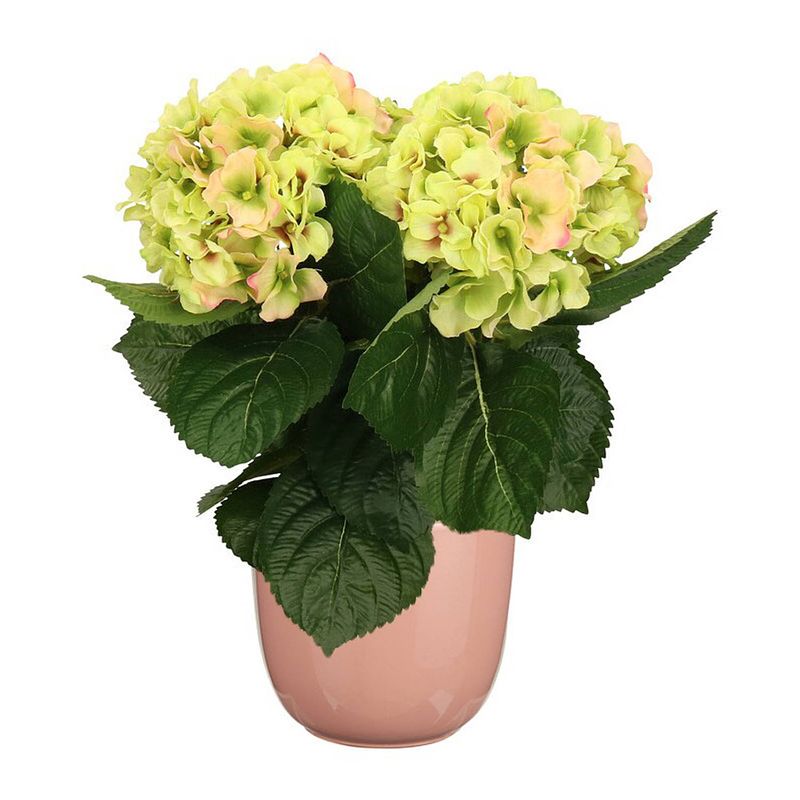 Foto van Hortensia kunstplant/kunstbloemen 36 cm - groen/roze - in pot lichtroze glans - kunstplanten