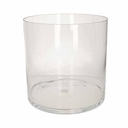 Foto van Glazen bloemen cylinder vaas/vazen 30 x 30 cm transparant - vazen