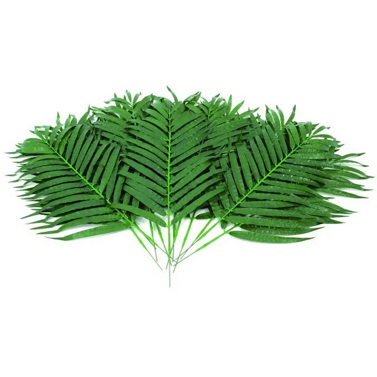 Foto van Europalms palmbladeren 80 cm 12 stuks