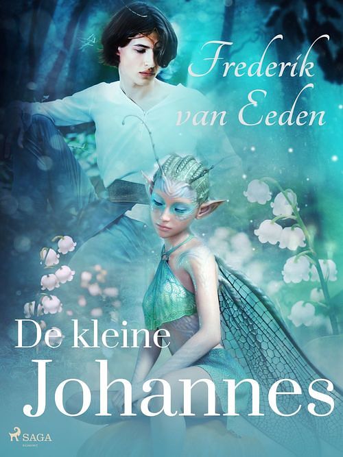 Foto van De kleine johannes - frederik van eeden - ebook