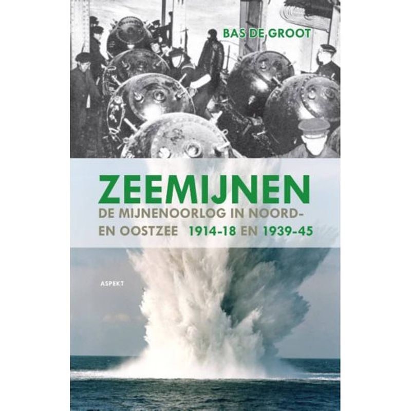 Foto van Zeemijnen