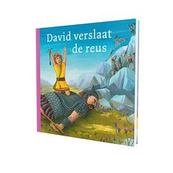 Foto van David verslaat de reus