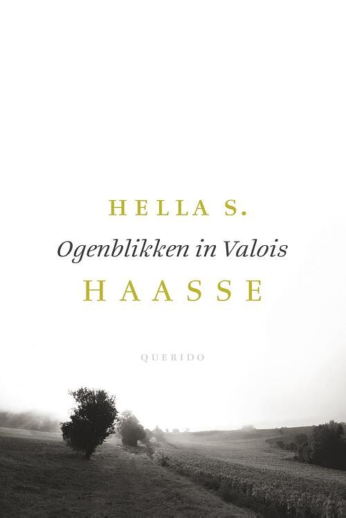 Foto van Ogenblikken in valois - hella s. haasse - ebook (9789021408460)