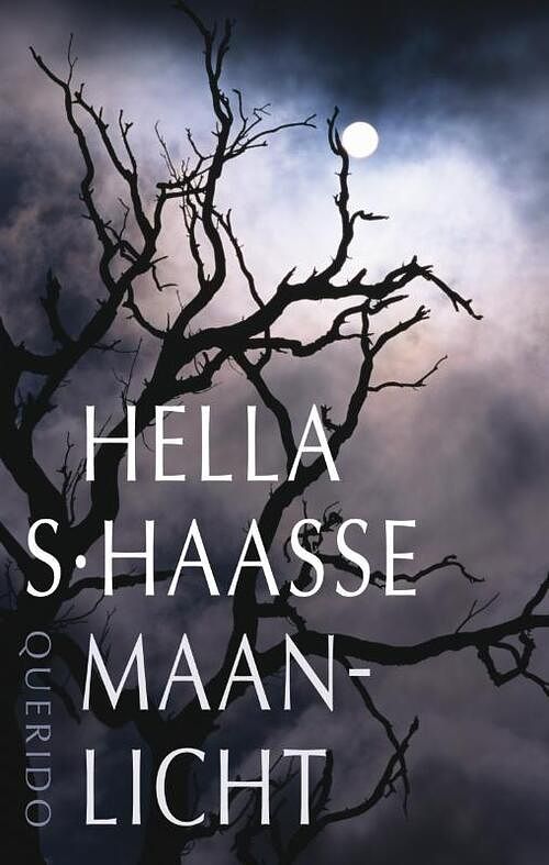 Foto van Maanlicht - hella s. haasse - ebook (9789021442426)