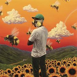 Foto van Flower boy - lp (0889854690519)