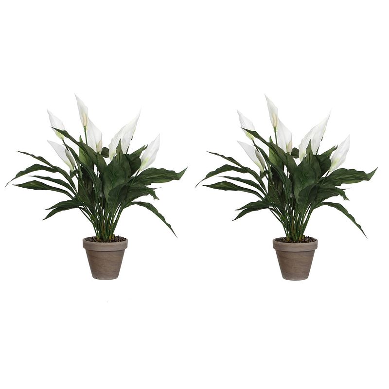 Foto van 2x stuks spathiphyllum lepelplant kunstplanten wit in keramieken pot h50 x d40 cm - kunstplanten