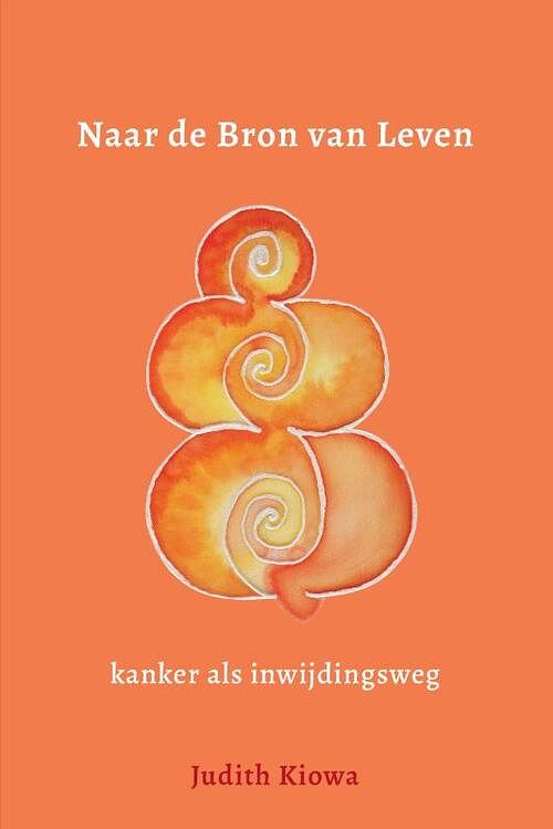 Foto van Naar de bron van leven - judith kiowa - paperback (9789493280786)