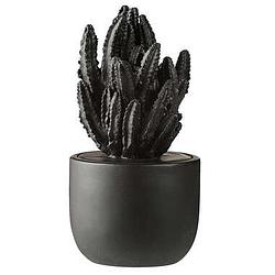 Foto van Ornament plant - zwart - 17xø9 cm - leen bakker