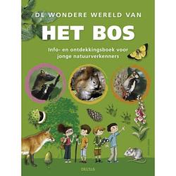 Foto van De wondere wereld van het bos