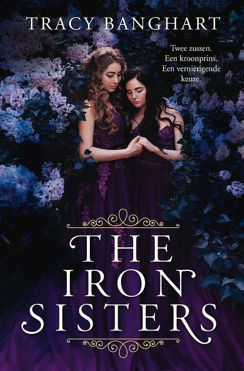 Foto van The iron sisters - tracy banghart - ebook (9789025878245)