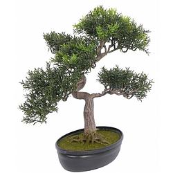 Foto van Kunst bonsai boom 40 cm - kunstplanten