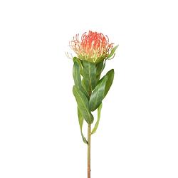 Foto van Kunstbloem leucospermum - oranje - 48 cm