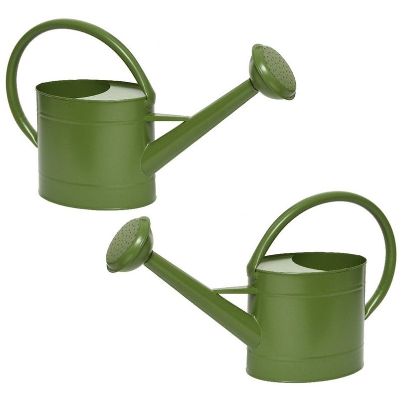 Foto van Set van 2x stuks groene zinken gieters voor kamerplanten/tuinplanten 5 liter - gieters