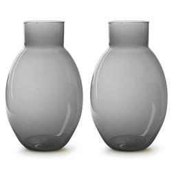 Foto van 2x stuks bloemenvazen - eco smoke glas - lichtgrijs/transparant - h32 x d20 cm - vazen