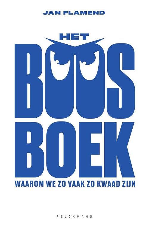 Foto van Het boosboek - jan flamend - paperback (9789463377102)