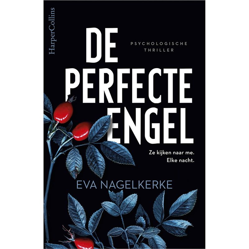 Foto van De perfecte engel