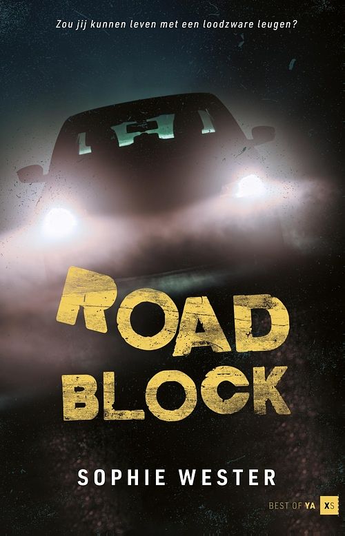 Foto van Roadblock - sophie wester - ebook