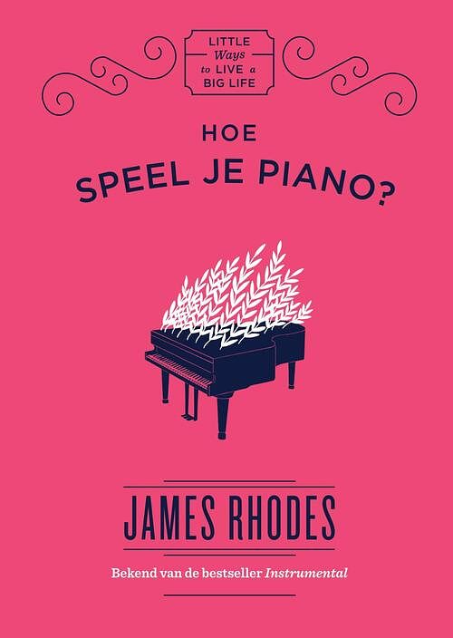 Foto van Hoe speel je piano? - james rhodes - ebook (9789000361748)