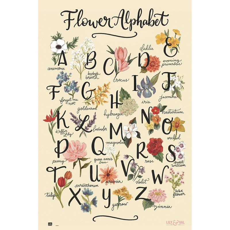 Foto van Grupo erik lily and val flowers alphabet poster 61x91,5cm