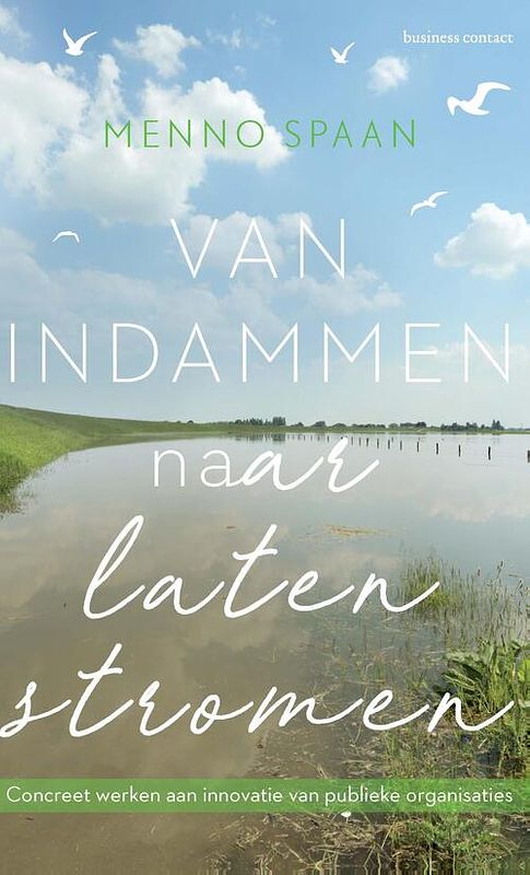 Foto van Van indammen naar laten stromen - menno spaan - ebook (9789047011514)