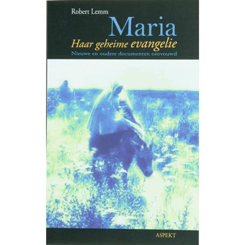 Foto van Maria - aspekt monografie