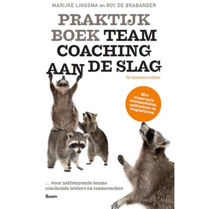 Foto van Praktijkboek teamcoaching, aan de slag