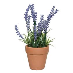 Foto van Lavendel kunstplant in terracotta pot - lila paars - d6 x h18 cm - kunstplanten
