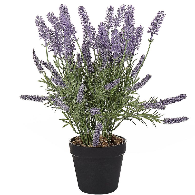 Foto van Beliani lavender plant - kunstplant-groen-synthetisch materiaal