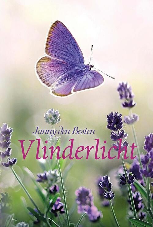 Foto van Vlinderlicht - janny den besten - ebook (9789087184315)