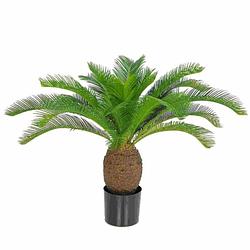 Foto van Kunstplant palm 70 cm - kunstplanten