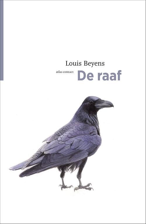 Foto van De raaf - louis beyens - ebook (9789045034195)