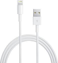 Foto van Apple lightning naar usb a kabel 1 meter