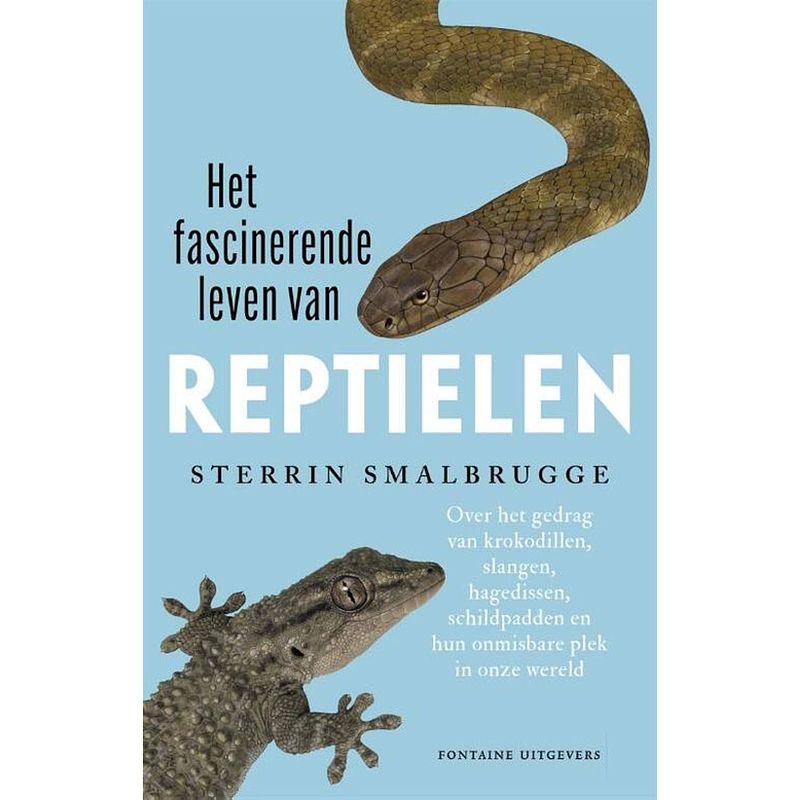 Foto van Het fascinerende leven van reptielen