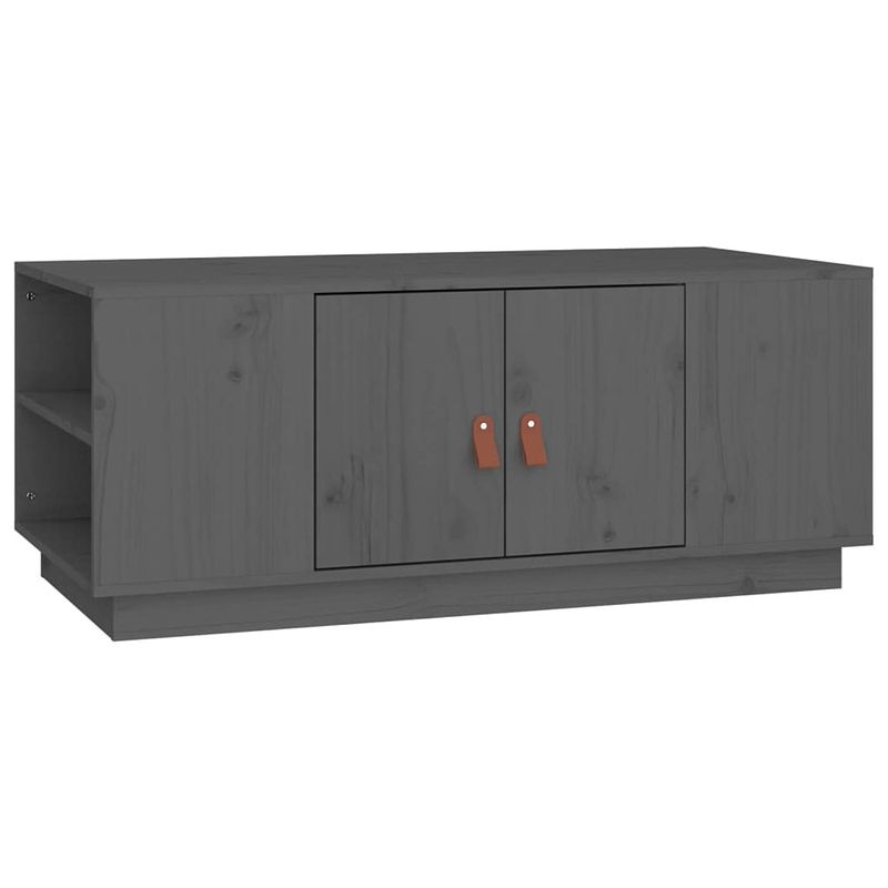 Foto van The living store salontafel grenenhout - grijs - 100 x 50 x 41 cm