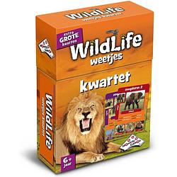 Foto van Weetjes kwartet wildlife