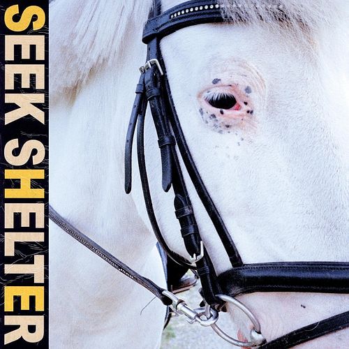 Foto van Seek shelter - cd (0184923129021)