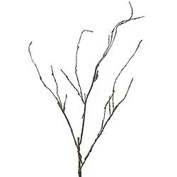 Foto van Wood twig cordata 95 cm kunsttak nova nature