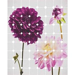 Foto van Komar flowers and dots vlies fotobehang 200x250cm 2-banen